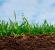 유기농업: 전망과 현실 유기농업이란 무엇인가?
